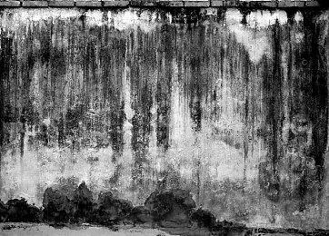 加入可爱治愈手帐模拟器《小小贴纸铺：百日草夏令营》的夏日乐趣，最新DLC将于8.15推出